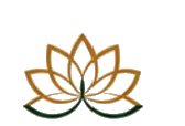 Holistic Wellness & Aesthetics